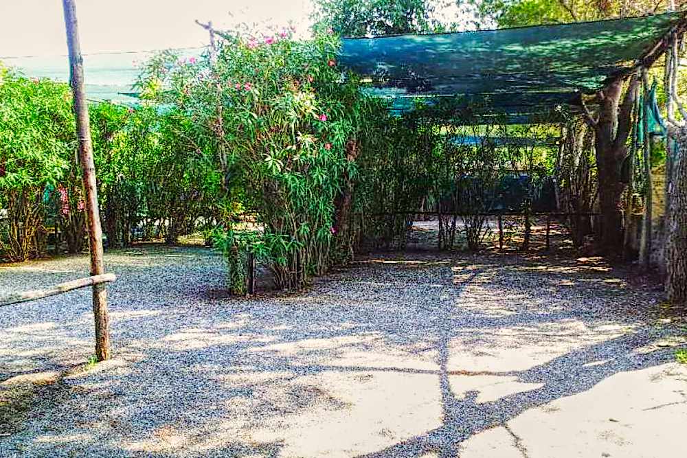 Piazzola-Tenda-Camping-International