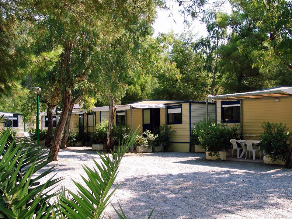 Maxi _Roulotte_Camping_International